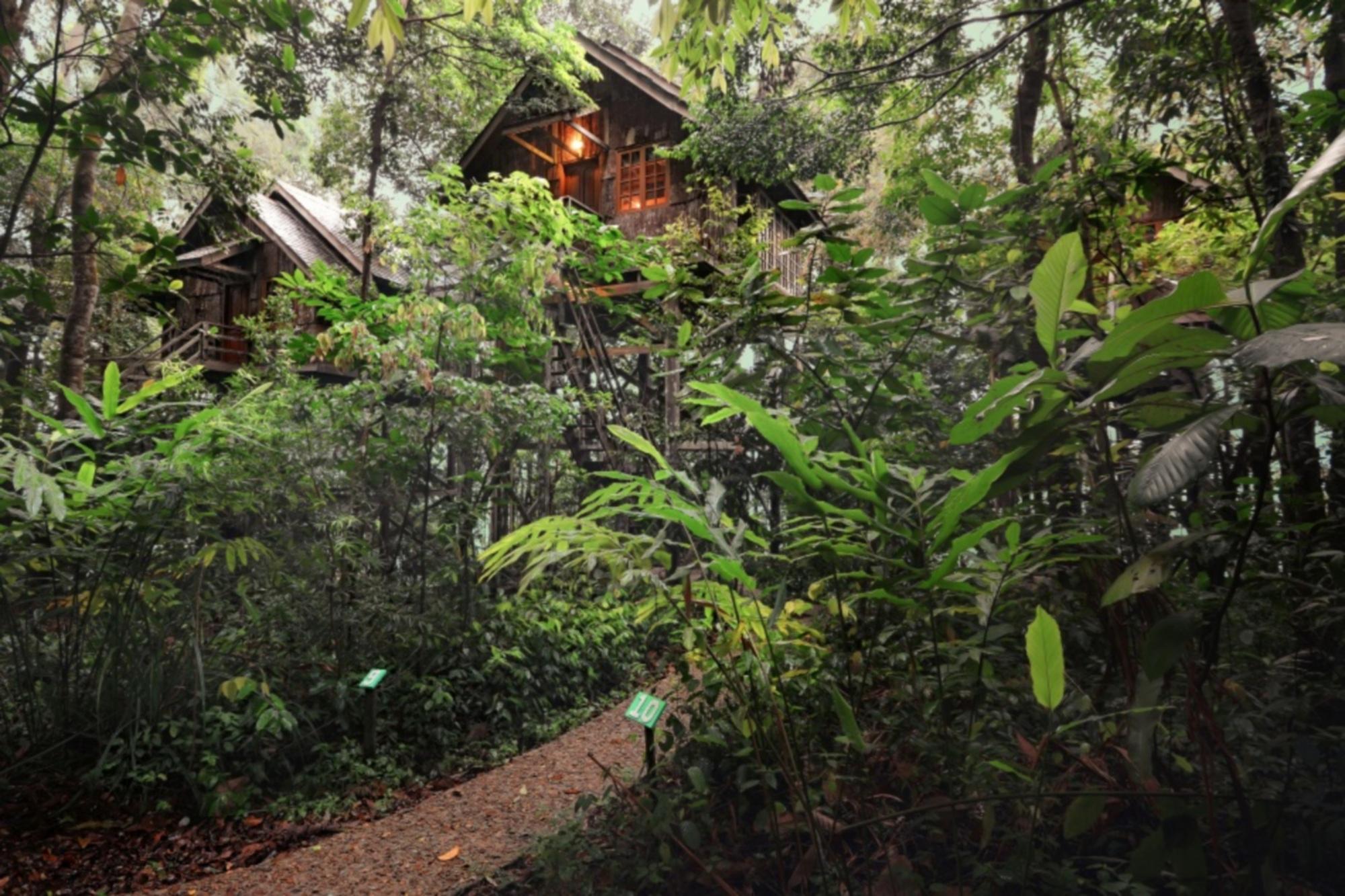 Permai Rainforest Resort Santubong Eksteriør billede